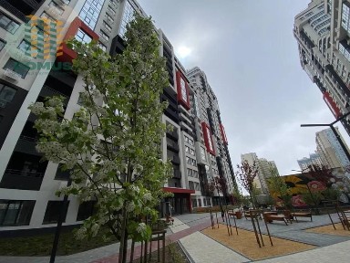 Одеська область, Лиманка