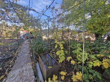 Одеська область, Великодолинське