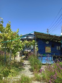 Продам дачу от собственника Затока ст. Солнечная морская сторона
