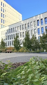 Львів, Сихівський, вулиця Зелена 151