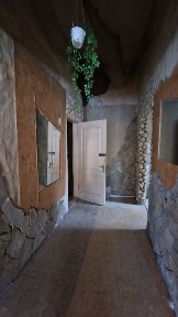 Житомирська область, Житомир, Польова