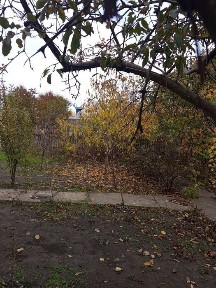 Дом из 2 комнат на Дружбе. Оплата помесячно. Заселим сразу.