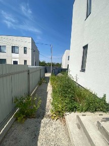 Київська область, Бориспіль