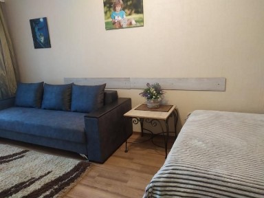 Оренда подобово. Центр, Камянецкая 65,чиста! Є світло, видаємо чек!