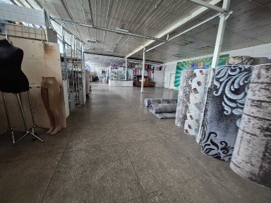 1500м2 + 18 сот в центрі