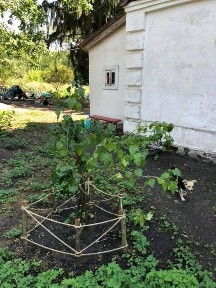 Добротний будинок з цегли для життя або туризму.