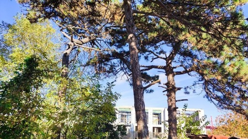 Одеська область, Одеса, Київський