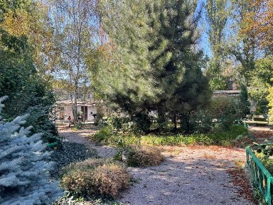 Запорізька область, Запоріжжя, Дніпровський