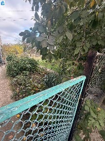 Продаж 1 поверхового будинку з гаражем і ділянкою на 2.5 сотки, 65 кв. м, 4 кімнати, на 8-а вул. Слобідська • ID 33666956