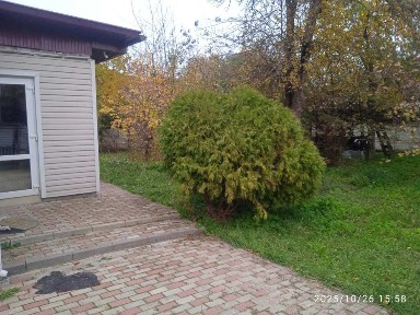 Сдам дом с участком за 