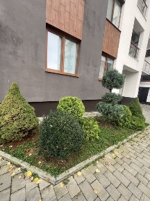 Закарпатська область, Ужгород