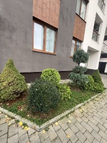 Перша здача 2 кі-ної квартири район Дастору