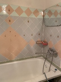 Дніпропетровська область, Кам'янське