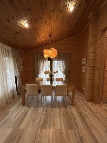 Унікальний фінський будинок на березі Дніпра