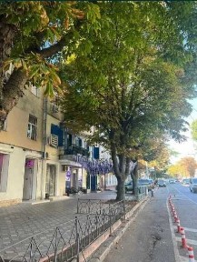 Одеська область, Одеса, Приморський