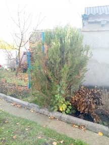 Полтавська область, Полтава