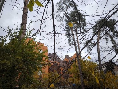 Київська область, Ірпінь