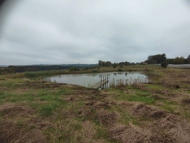 Рівненська область, Дермань Перша