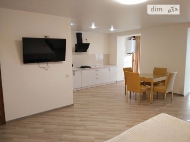 Здам подобово 1к квартиру на вул. Князів Коріатовичів 25/1 • ID 33168288