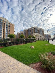 Київська область, Софіївська Борщагівка