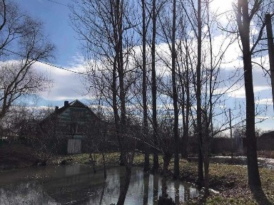 Будинок, 40 соток землі в Мале Попово.