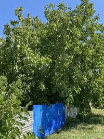 Будинок з ділянкою. Засупоївка