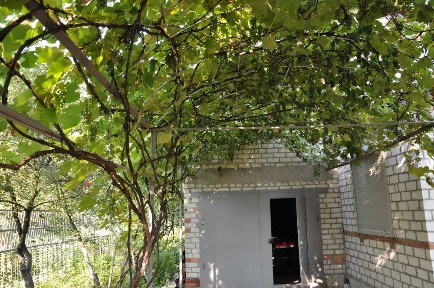 Дача з документами та виходом у березовий гай