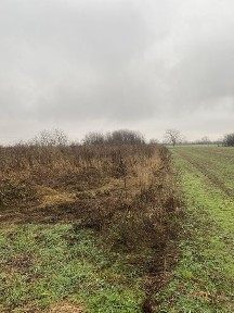 Продається будинок на 50сотках