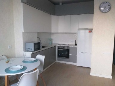 Подобова оренда ЖК Аполон 1 кім. Куликовський пров.