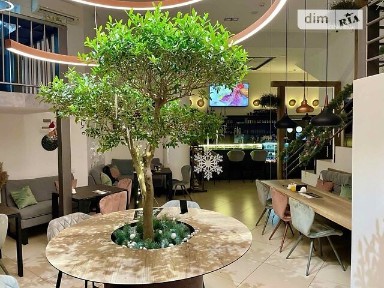 Кловський узвіз, мікрорайон Печерськ, район Печерський, Київ, метро Арсенальна, узвіз Кловський 7, площа 117.4 кв. м • ID 33360749