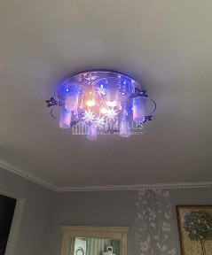 Київська область, Київ, Оболонський