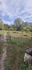 Продаю будинок з земельною ділянкою 25 с. и ставком.