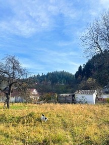 Продаж дерев'яного будинку біля річки у с. Шешори, ділянка 8 сот.