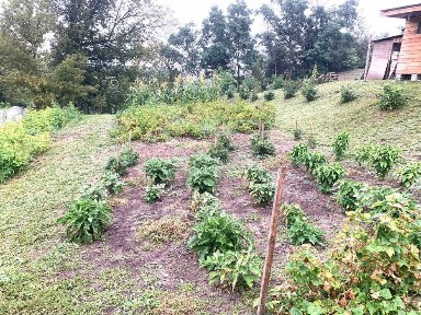 Тут хочеться ЖИТИ І БУДУВАТИ.