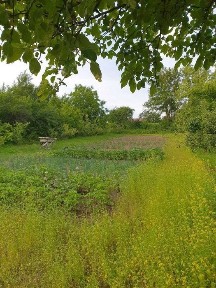 Дачний будинок. Лісові Гринівці