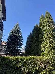 Продам в КМ Коник будинок 10 хв від Печерська в напрямку Конча-Заспа