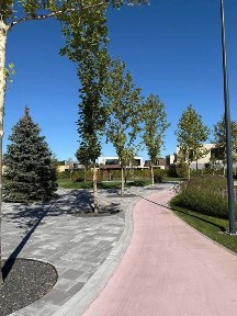 Київська область, Ірпінь