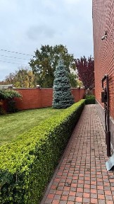 Таунхаус з великим подвірям 4 сотки землі