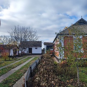 Продам будинок в селі Савинці Білоцерківського району.