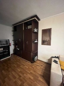 Дніпропетровська область, Дніпро, Центральний