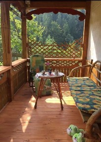 Продаж будинку (дача) в курортному селі Гребенів