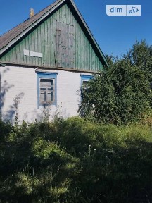 Продаж 1 поверхового будинку з ділянкою на 25 соток, 56.2 кв. м, 2 кімнати, на Шевченка • ID 33541513