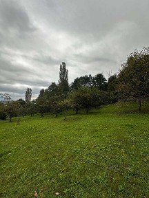 Продається будинок в с. Липовець, Хустський рн