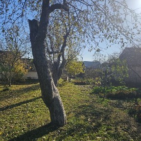 Житомирська область, Житомир, Центр