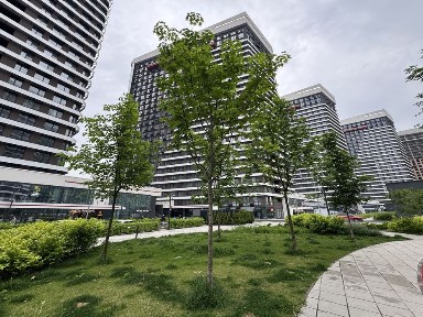 Київська область, Київ, Дарницький