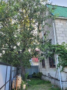 Київська область, Київ, Дарницький