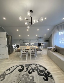 Здам 3-кімнатну квартиру з кухнею-студією в приватному будинку, Тячів