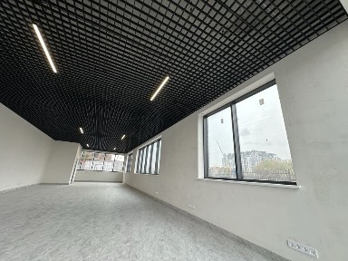 Київська область, Софіївська Борщагівка