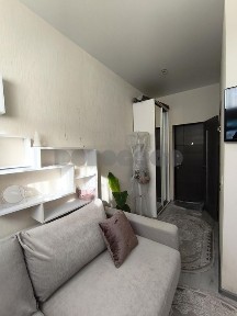 Київська область, Святопетрівське