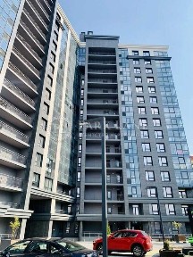 Київська область, Київ, Шевченківський